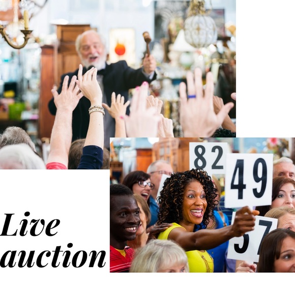 Please like this listing for notifications of my posh party live shows - Picture 6 of 7